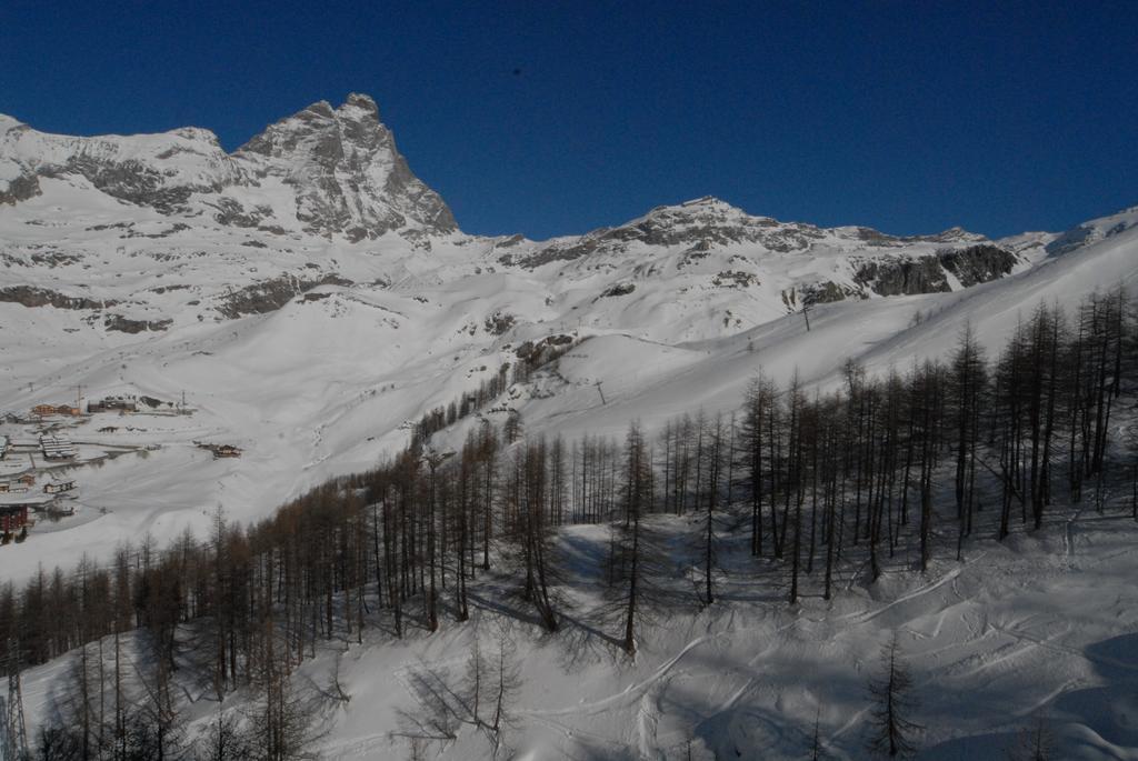 La Coquille Apartment Breuil-Cervinia Ngoại thất bức ảnh